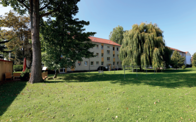 Wildblumenwiese vs. Rasen