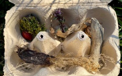 Die Natur spielerisch entdecken