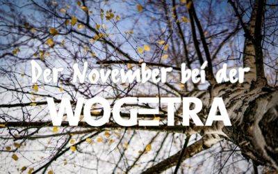 November 2020: Neuigkeiten von der WOGETRA
