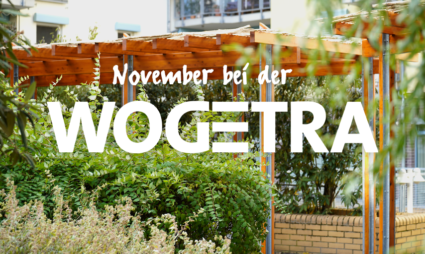 November bei der WOGETRA | Neues aus der Genossenschaft