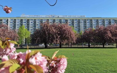 Leben am Johannisplatz Leipzig: Neues aus Arztpraxis, Bücherei und Hausgemeinschaft