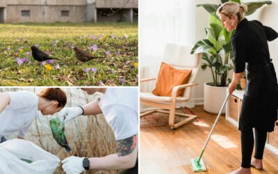 Frühlingsputz in Leipzig: Tipps für Zuhause und Aktionen in Ihrem Viertel