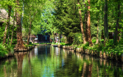 WOGETRA Ausfahrten 2026: Gemeinsame Reisen nach Weimar, Spreewald und Dresden erleben