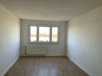 Große 3-Raumwohnung in Thekla - Wohnzimmer