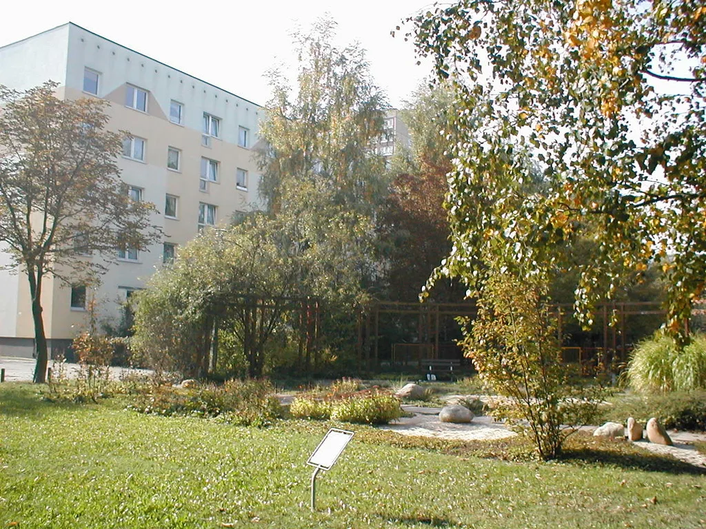 3-Raumwohnung in Grünau-Ost - Photo 3