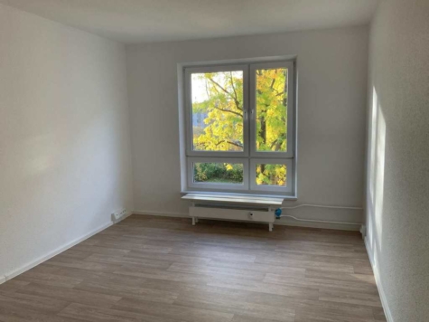 Familien aufgepasst: 4-Raumwohnung Sellerhausen, Sellerhausen, Leonhard-Frank-Str. 74
